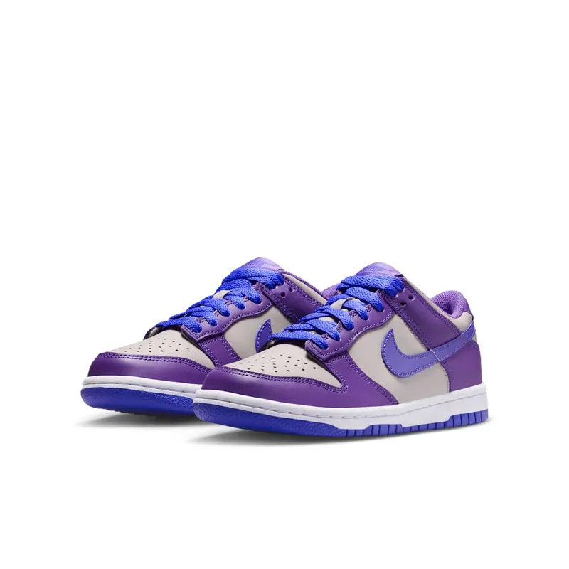 Nike Dunk Low Wild Grape (FB9109-007)