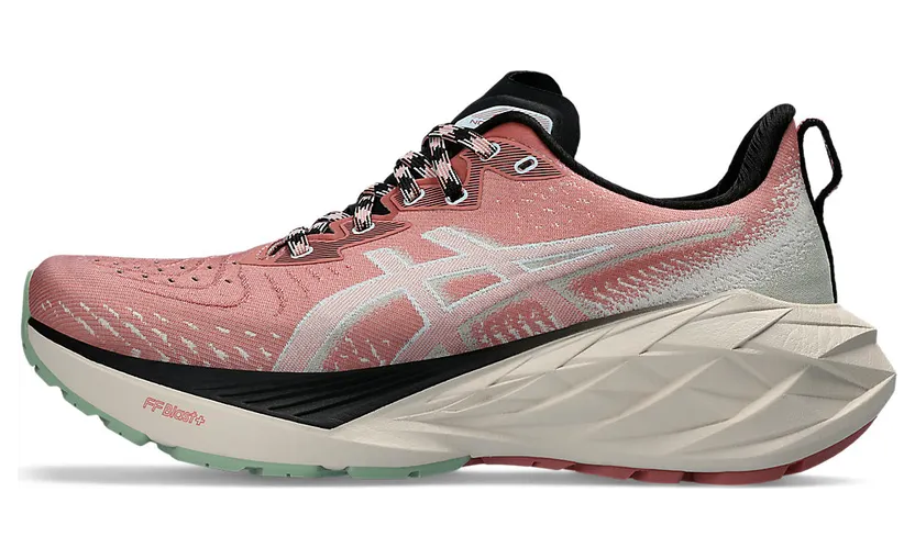 asics-novablast 1012B654.250