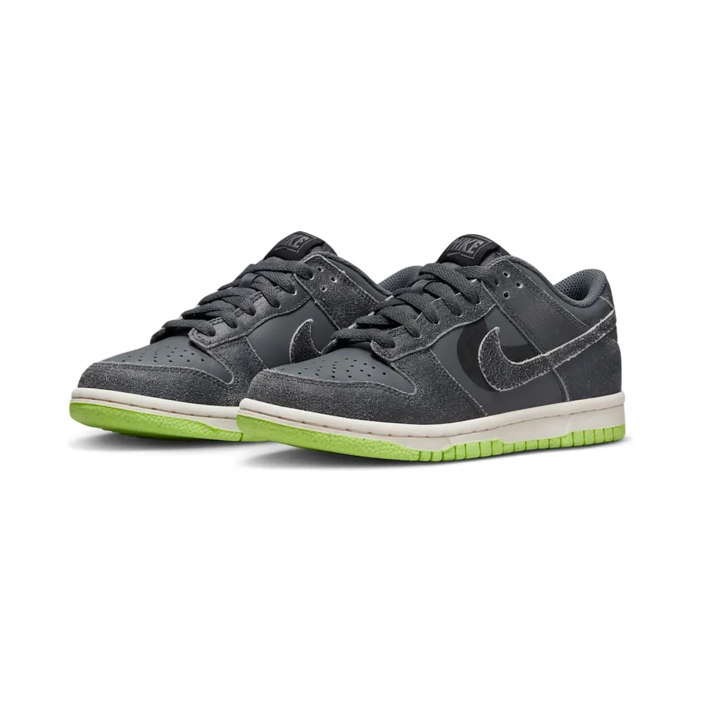 Nike Dunk Low SE Older Kids’ Grey (DQ6215-001)