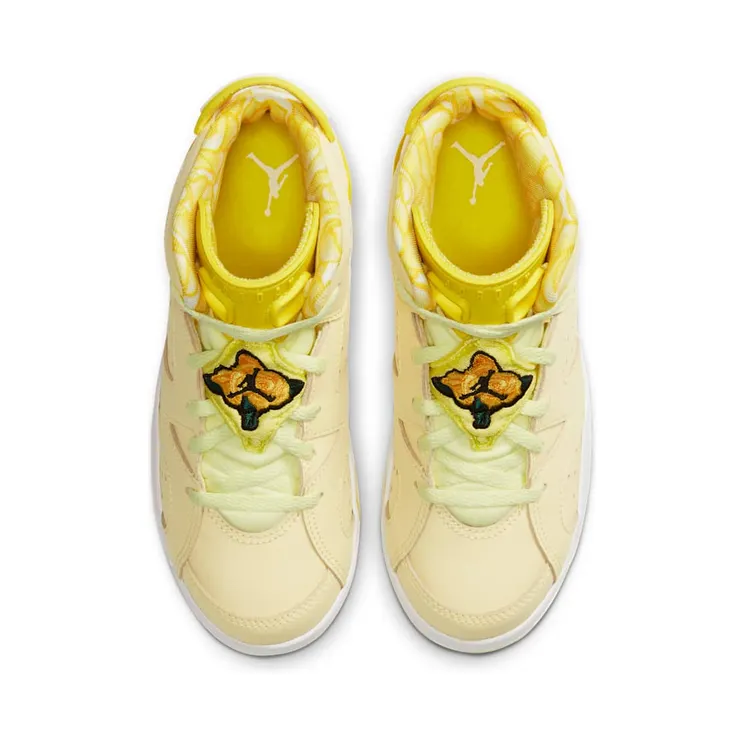 air-jordan-6 543389-800