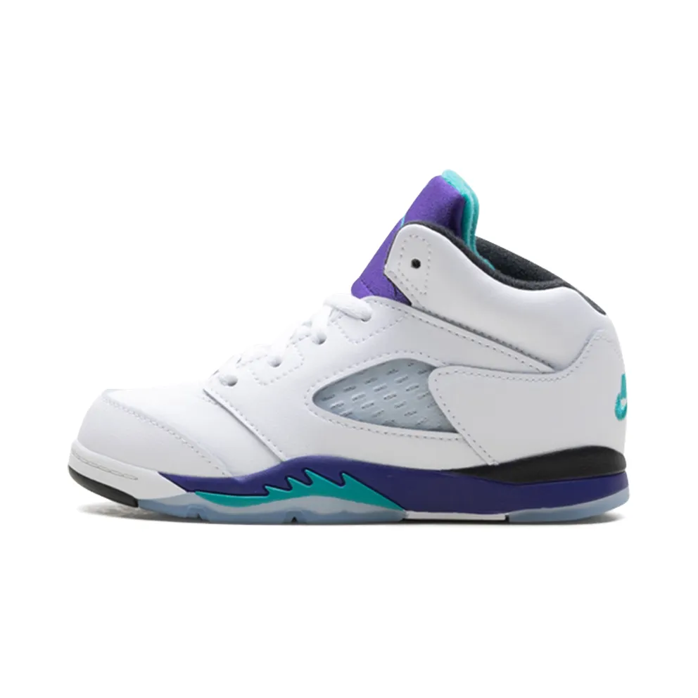 Jordan 5 Retro TD “Grape (2025)” (HQ7981-100)