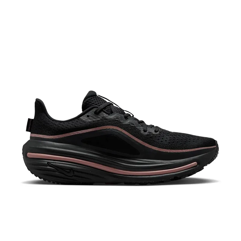 Nike Winflo 12 Black (HV9273-004)