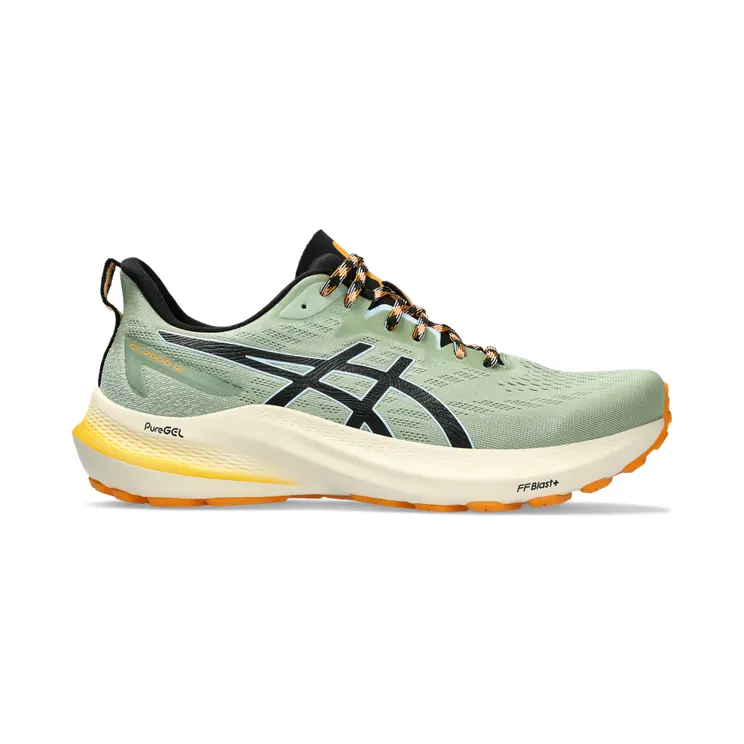Asics Gt-2000 12 Tr Nature Bathing/Fellow Yellow (1011B775.250)