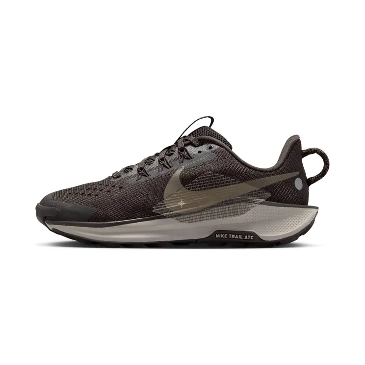 Nike Pegasus Trail 5 Kids “Velvet Brown / College Grey / Ironstone” (FV5638-201)
