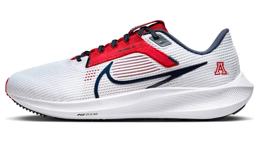 nike-air-pegasus DZ5945-100
