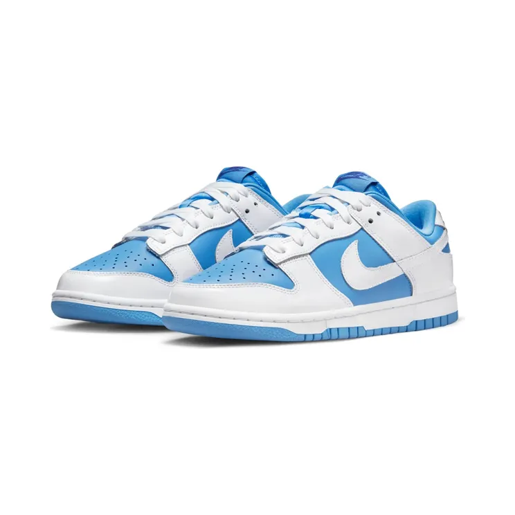 nike-dunk DJ9955-101