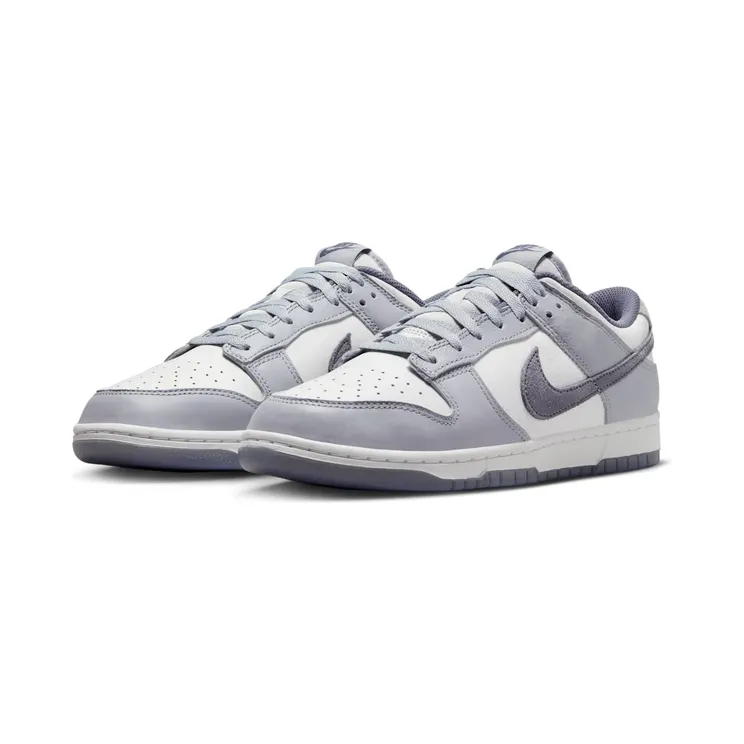 nike-dunk FJ4188-100