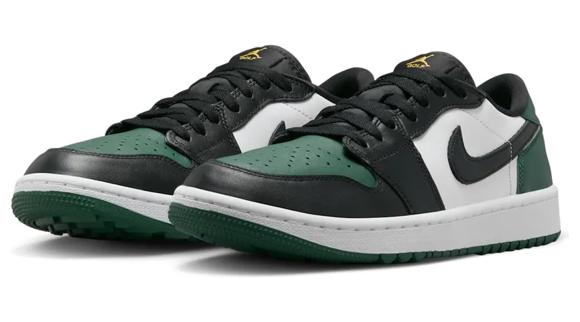 air-jordan-1 DD9315-107