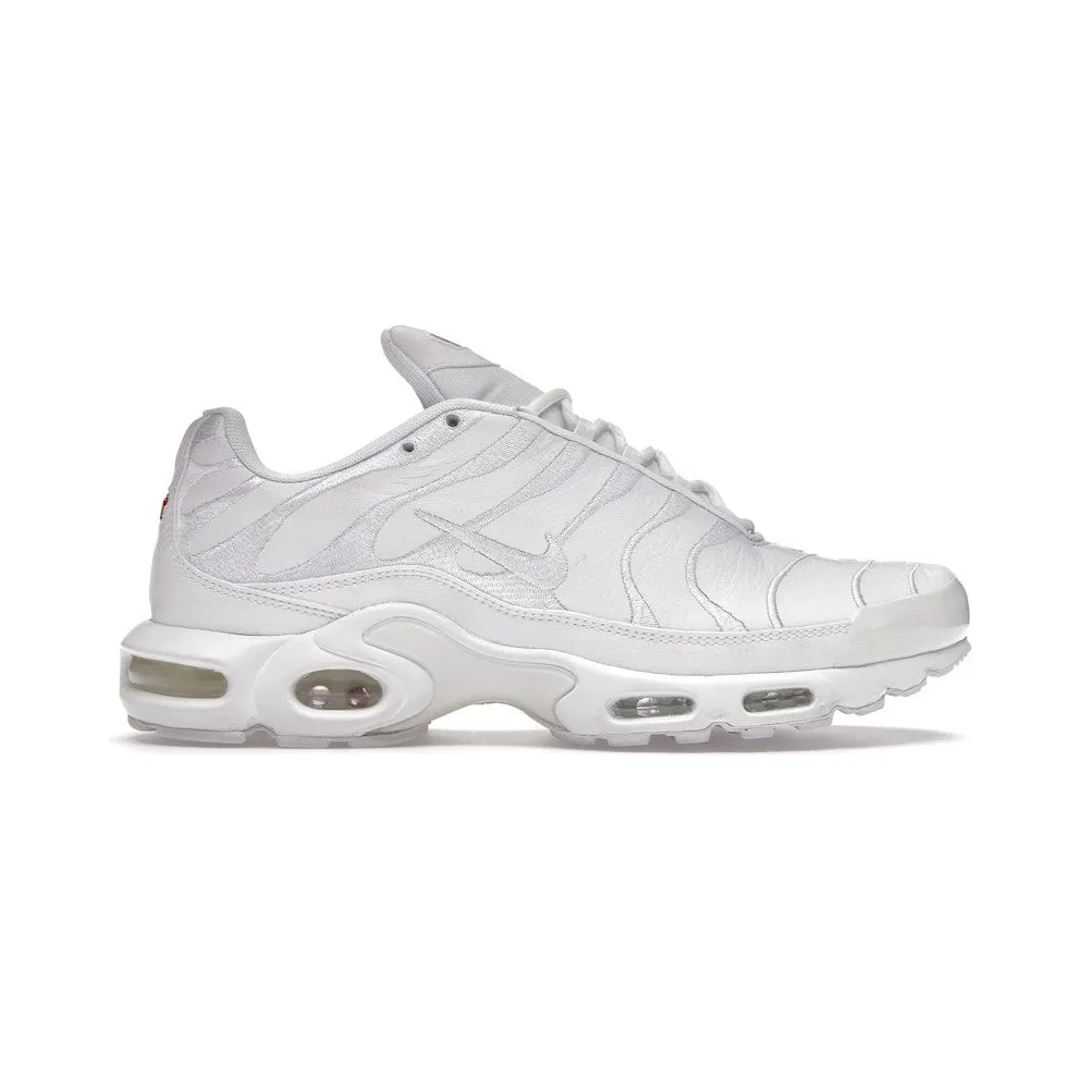 Nike Air Max Plus White (AJ2029-100)