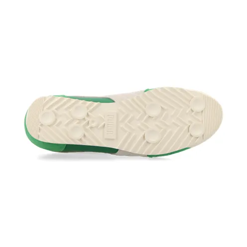 puma-arizona 398682_03
