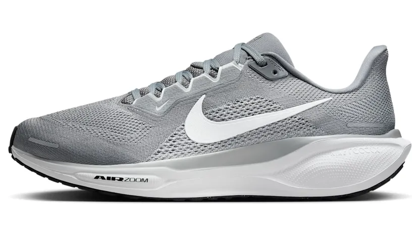 nike-air-pegasus FD2722-009