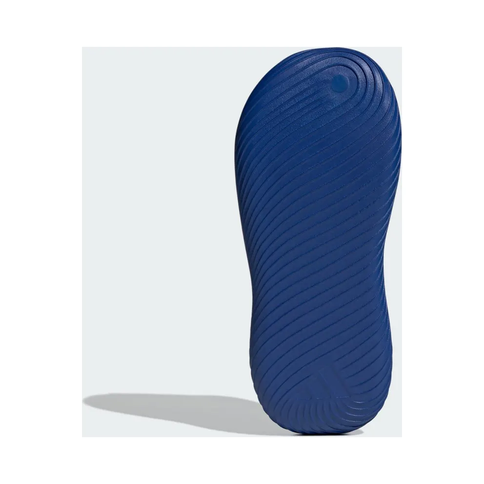 Adidas PURECHILL Slides Royal Blue / Cloud White / Cloud White (KI0062)