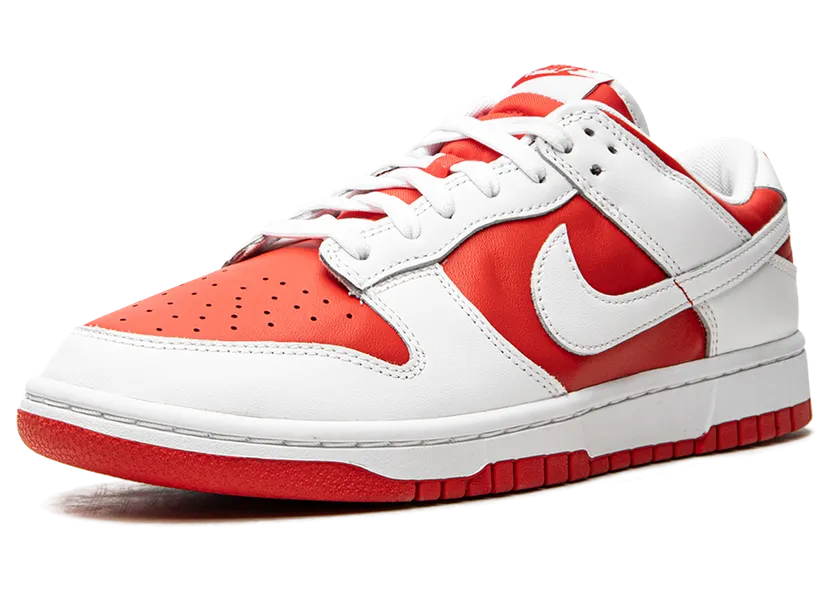 nike-dunk DD1391-600