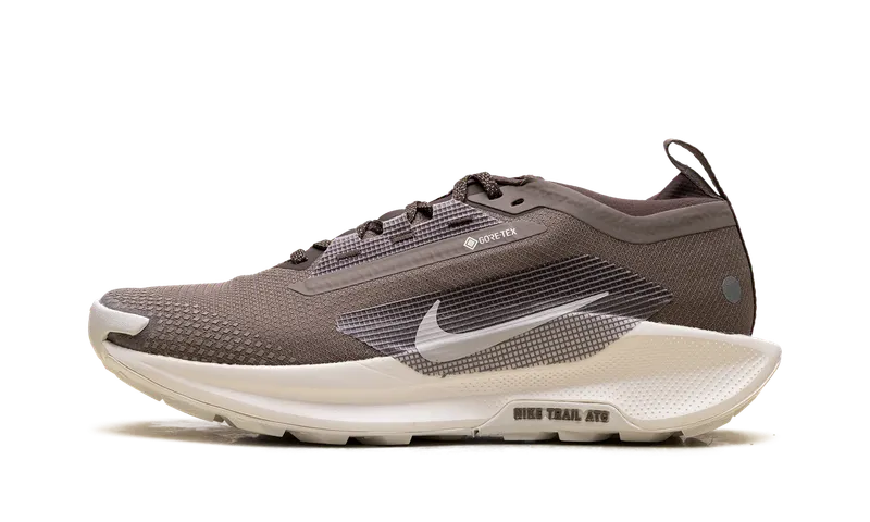 Nike Pegasus Trail 5 Gore-Tex “Mink Brown” (HQ7494-200)