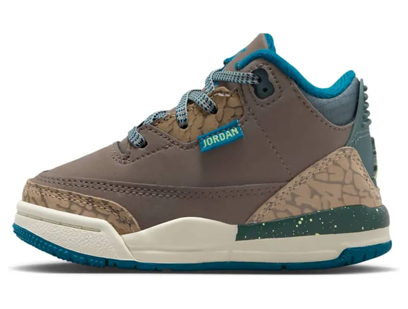 Air Jordan 3 IB7065-001