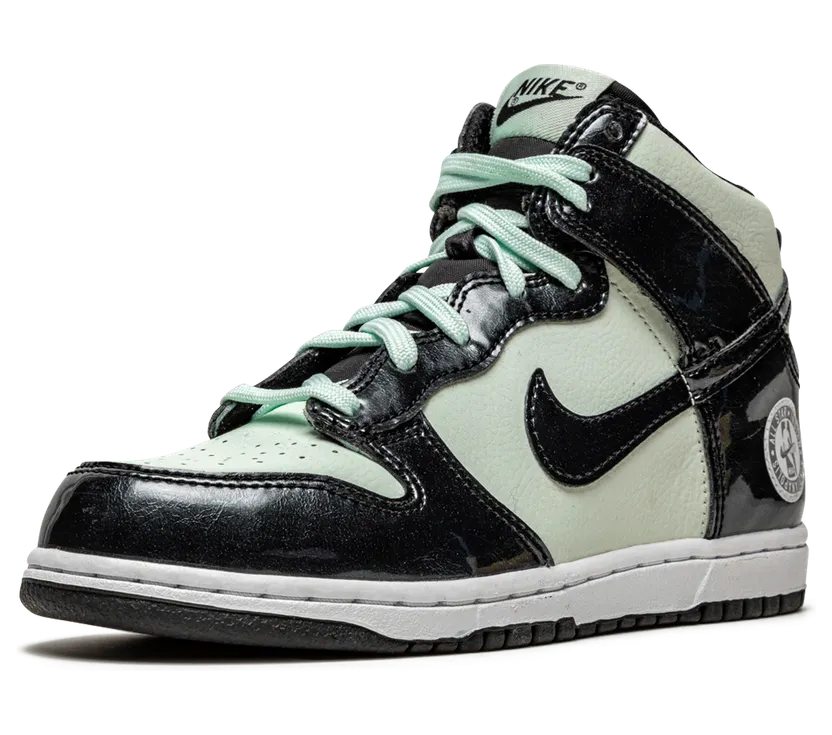 nike-dunk DD2313-300