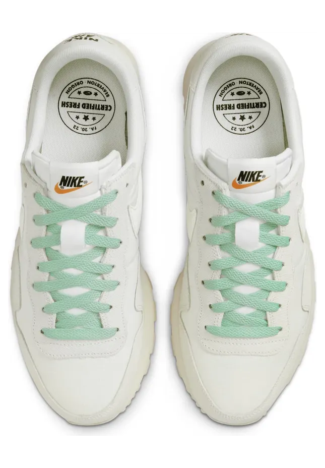 nike-air-pegasus DV0432-100