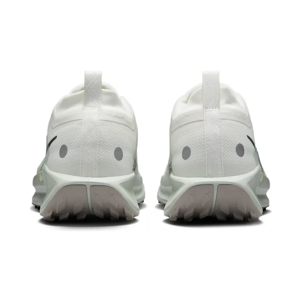 Nike Pegasus Trail 5 Gore-Tex Summit White Light Silver College Grey Sequoia (FQ0908-102)