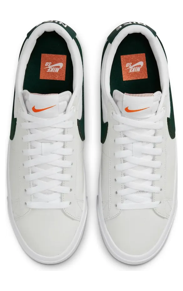nike-zoom DR9099-100