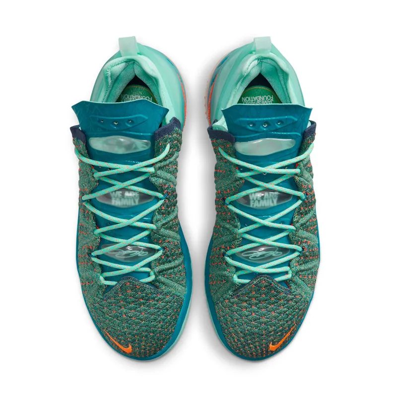Nike LeBron 18 We Are Family (CQ9283-300)