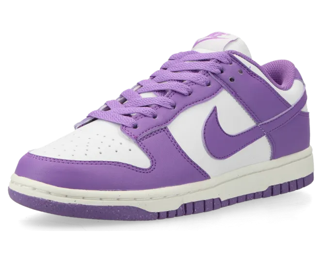 nike-dunk DD1873-108