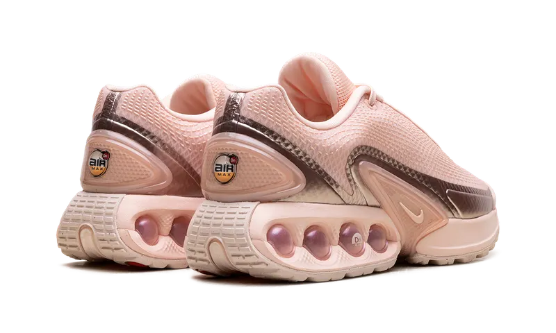 Nike Air Max Dn “Washed Coral Guava Ice” (HV4861-601)