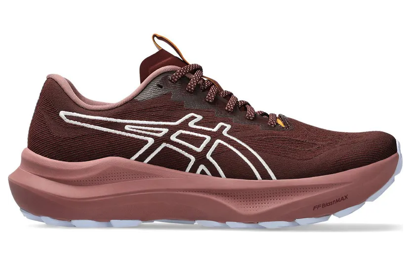 asics-gt-2000-2 1012B902-600