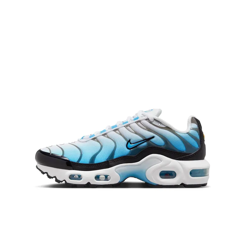 Nike Air Max Plus Ice (FD9767-100)