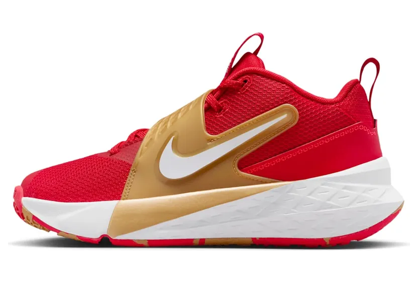 Nike Team Hustle D 12 University Red Gold White (HF6279-603)
