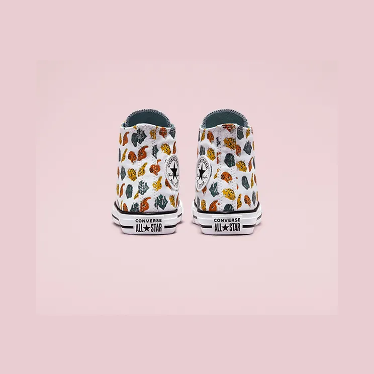 converse-chuck-taylor-all-star 671707C