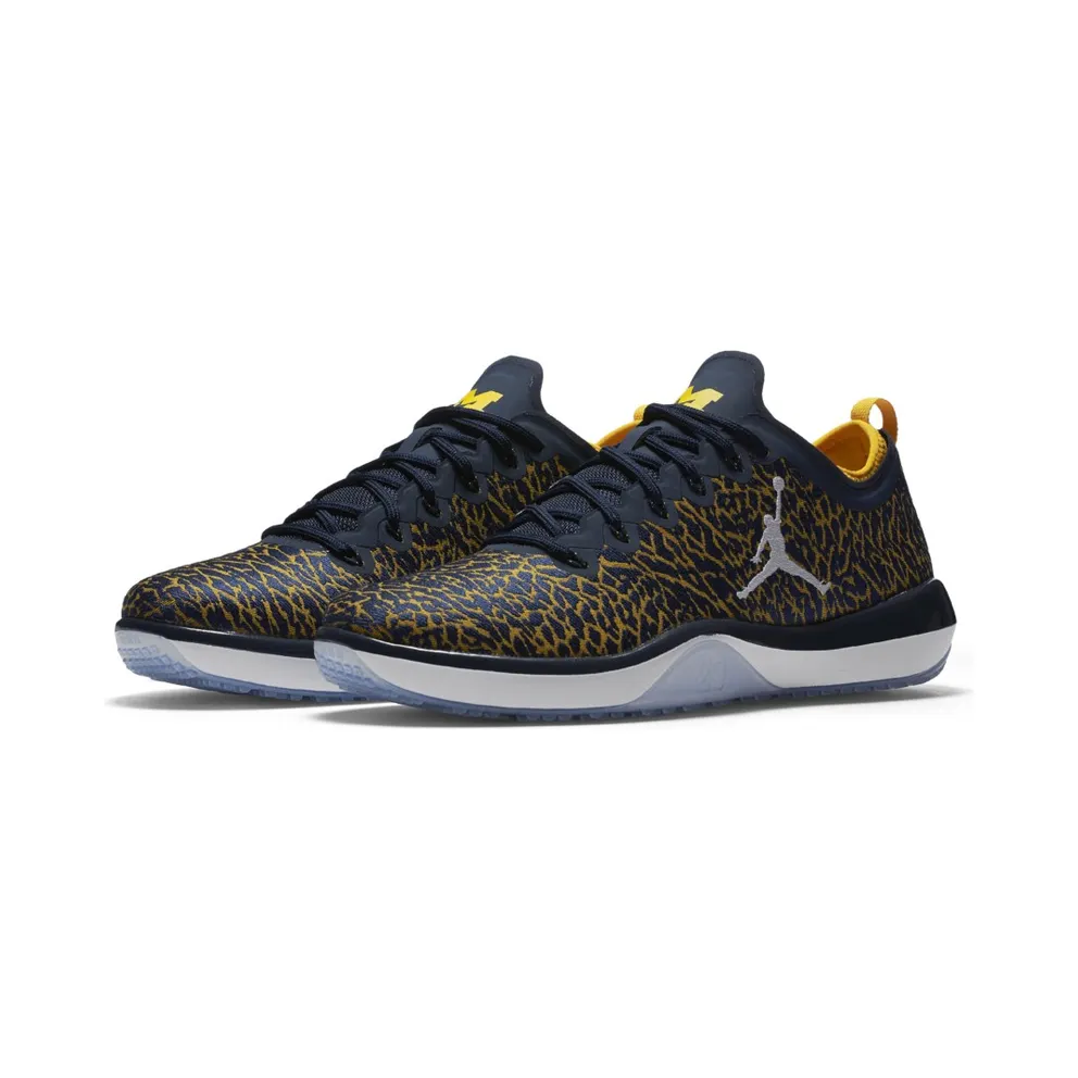 Jordan Trainer 1 Low Michigan College Navy/White-Amarillo (845403-420)