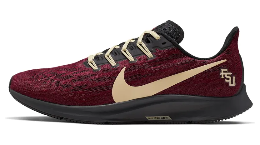 Nike Air Zoom Pegasus 36 Florida State