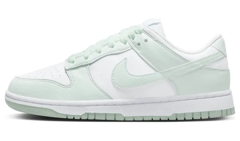 nike-dunk DN1431-102