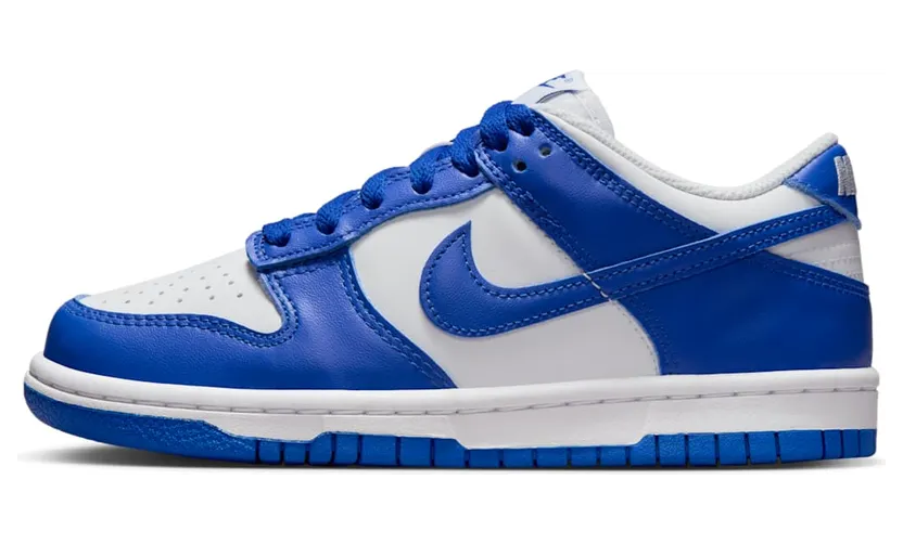Nike Dunk Low FB9109-131