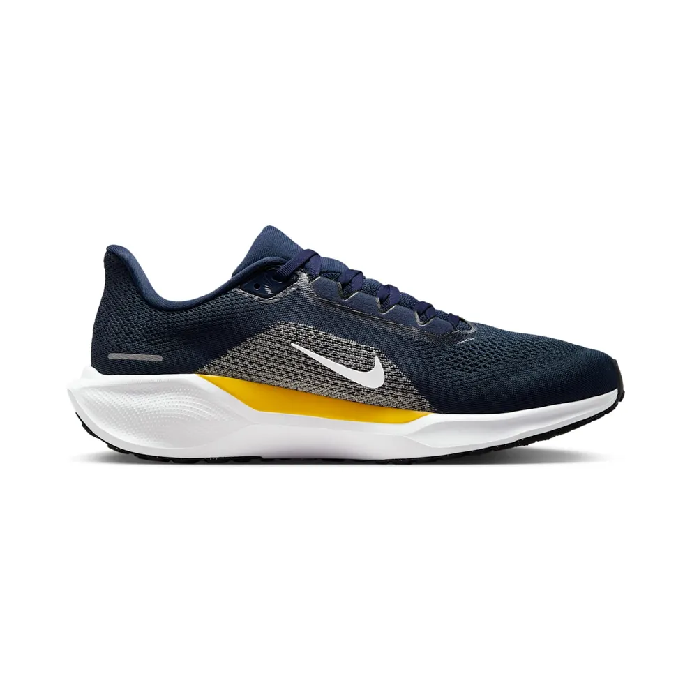 Nike Air Zoom Pegasus 41 Michigan Wolverines (IB3269-400)