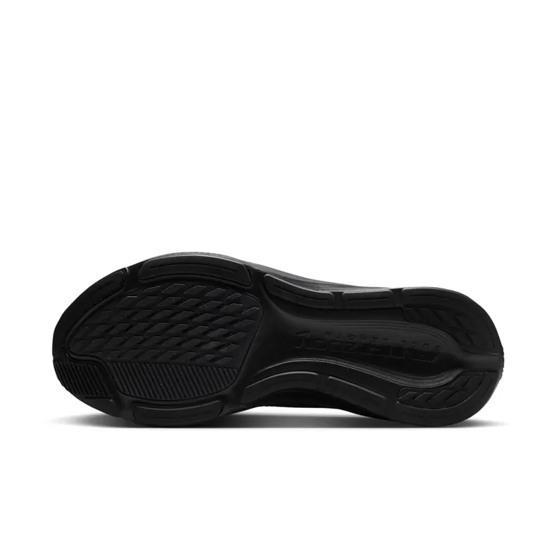 Nike Pegasus Black/Anthracite/Black (IB1873-003)