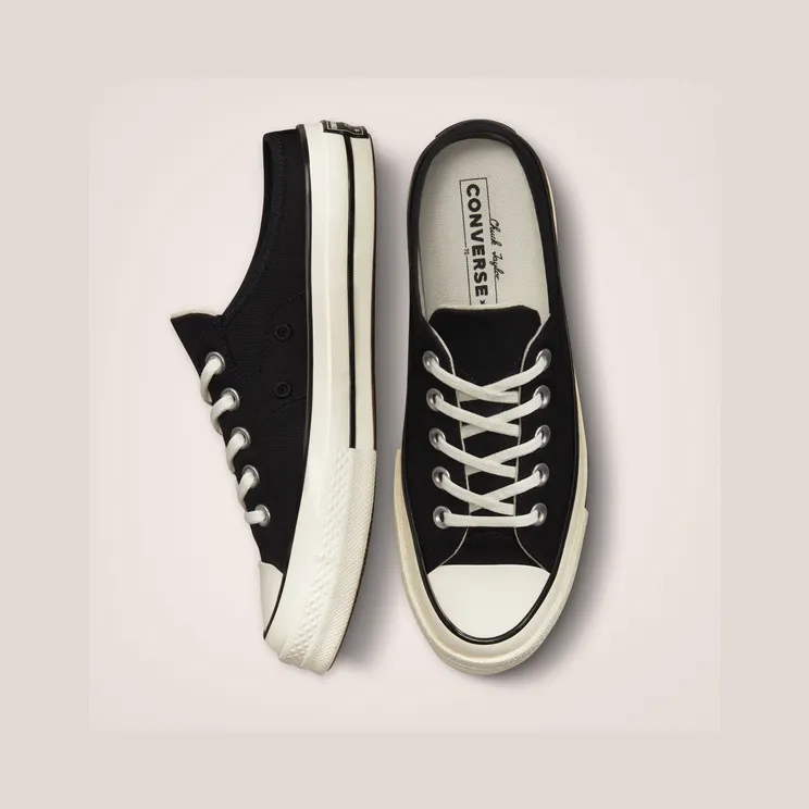 converse-chuck-taylor-all-star 172591C