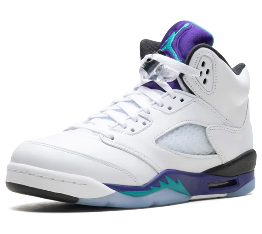 air-jordan-5 HQ7980-100