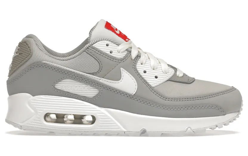 Nike Air Max 90 Light Smoke Grey (W) (DJ1494-001)