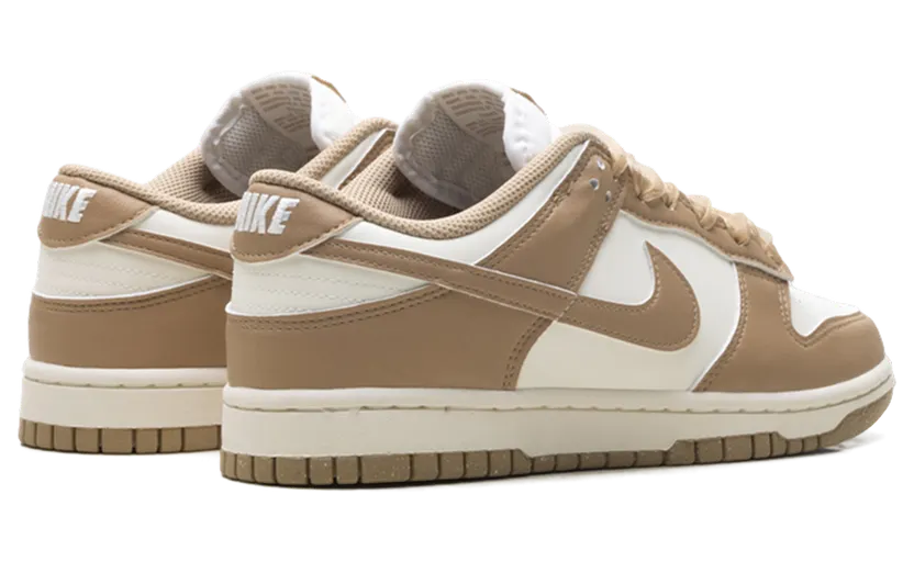 nike-dunk IB7311-101