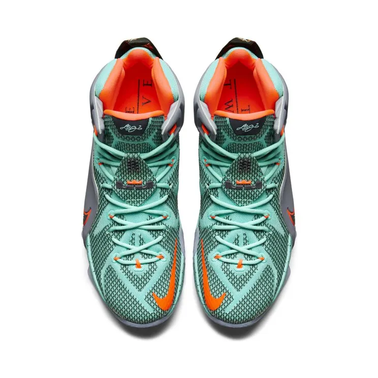 nike-lebron-12 684593-301
