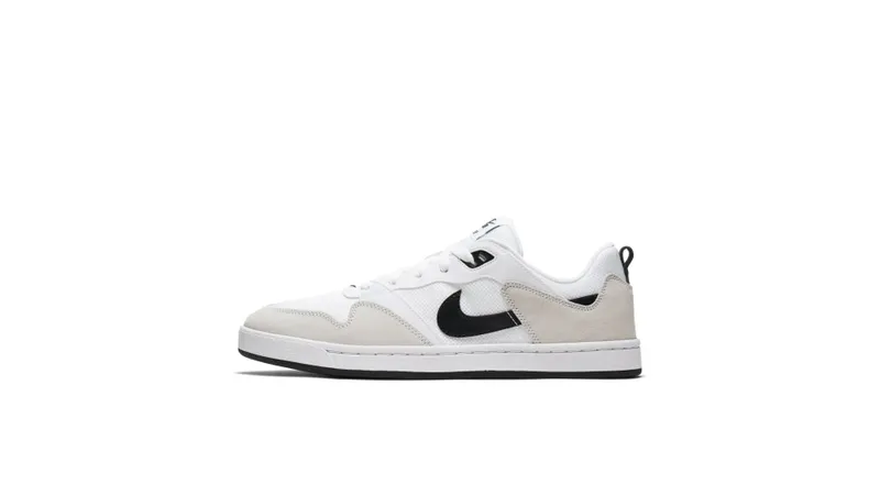 Nike Sb Alleyoop White White/White/Black (CJ0882-100)