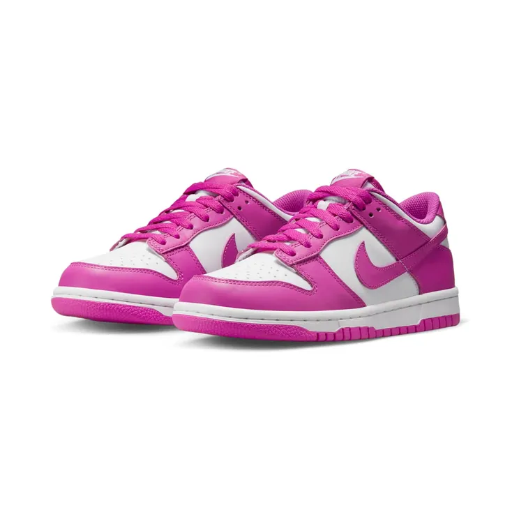 nike-dunk FJ0704-100