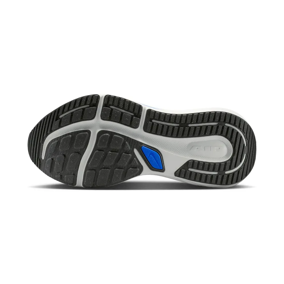 Nike Winflo 12 White (HV9272-100)