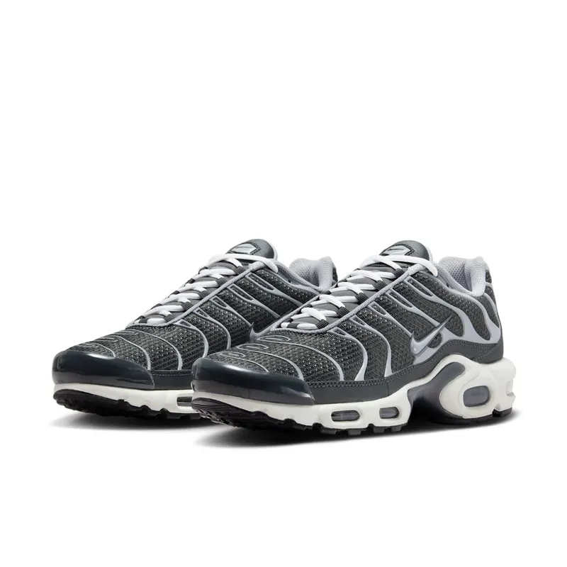 Nike Air Max Plus Greyscale Cool Grey (DZ2655-001)
