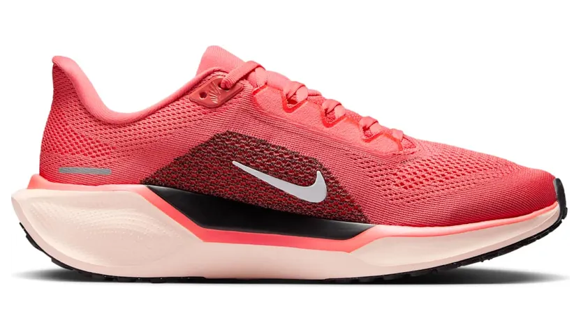 nike-air-pegasus FD2723-801