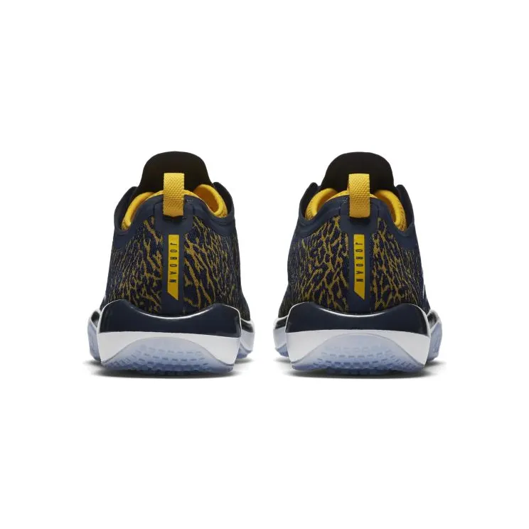 jordan-trainer-1-low 845403-420