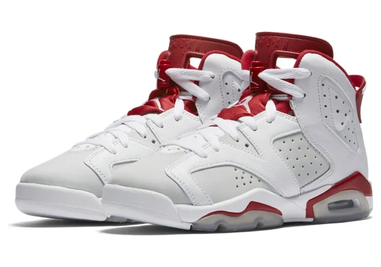 Air Jordan 6 Retro BG Alternate (384665-113)