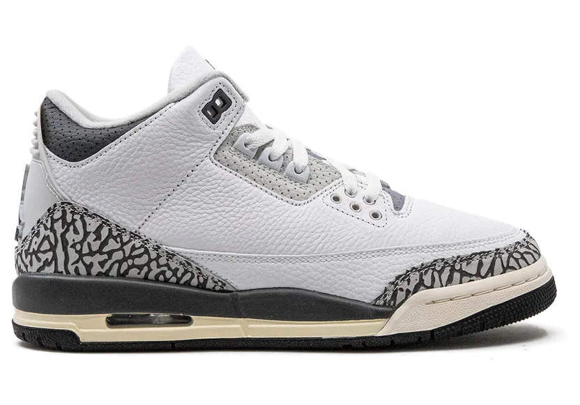 air-jordan-3 DX6665-100