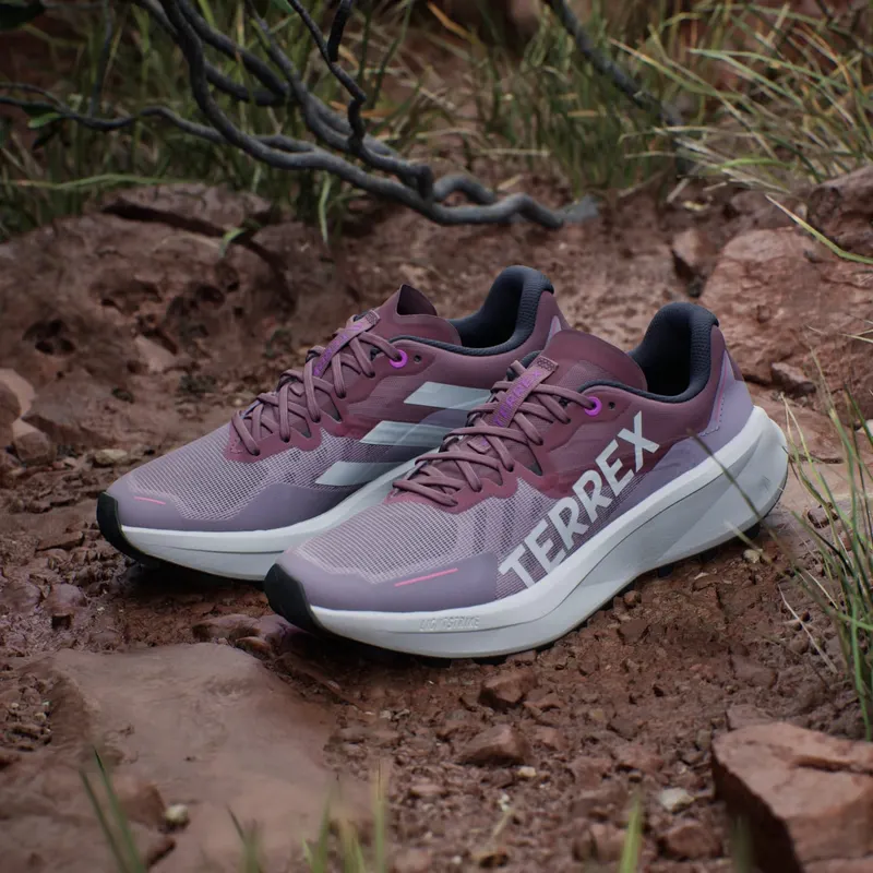Adidas Terrex Agravic 3 Trail Running Preloved Fig / Grey One / Pink Fusion (IG6583)